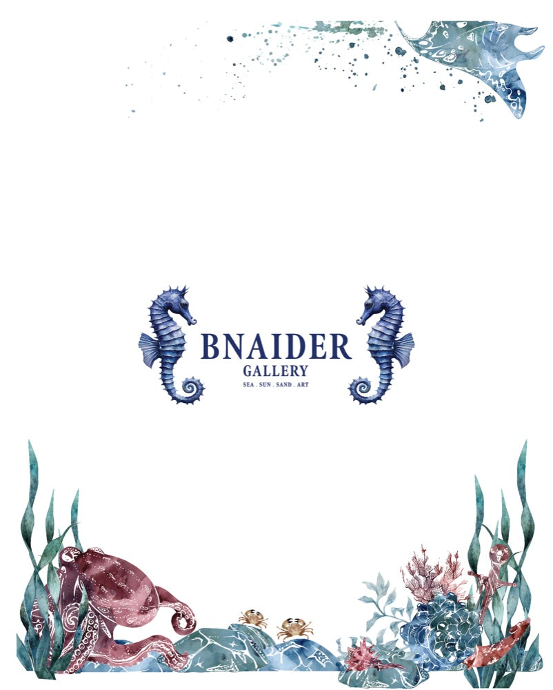 Bnaider Gallery brand identity